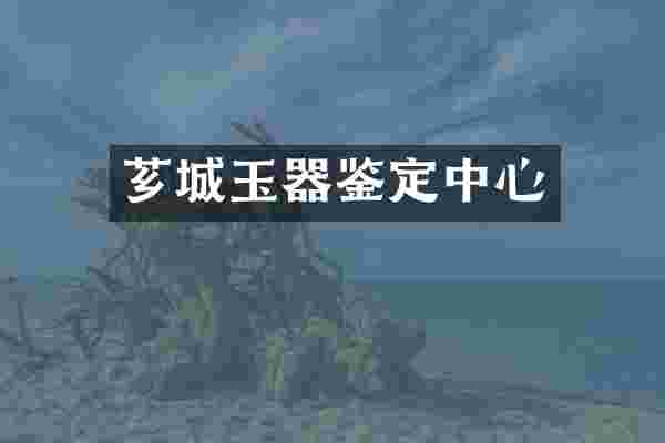 芗城玉器鉴定中心
