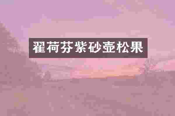 翟荷芬紫砂壶松果
