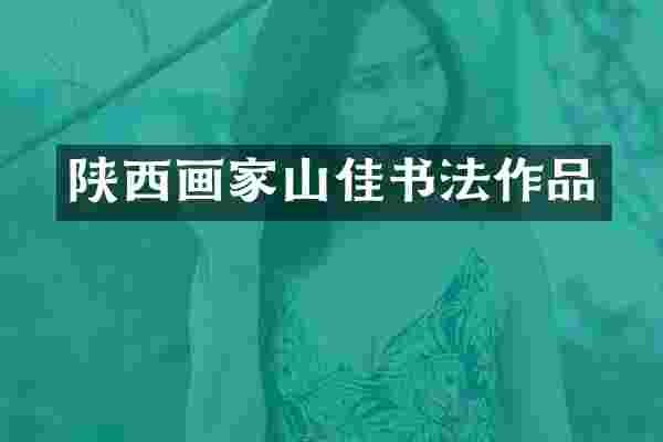 陕西画家山佳书法作品