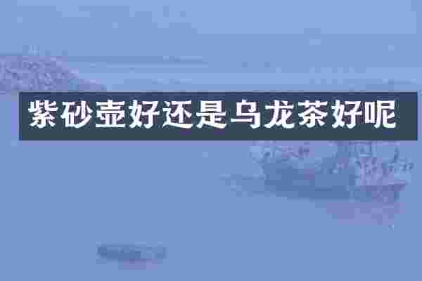 紫砂壶好还是乌龙茶好呢