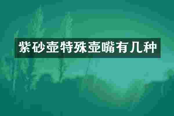 紫砂壶特殊壶嘴有几种