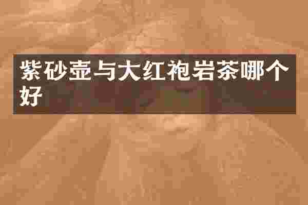紫砂壶与大红袍岩茶哪个好