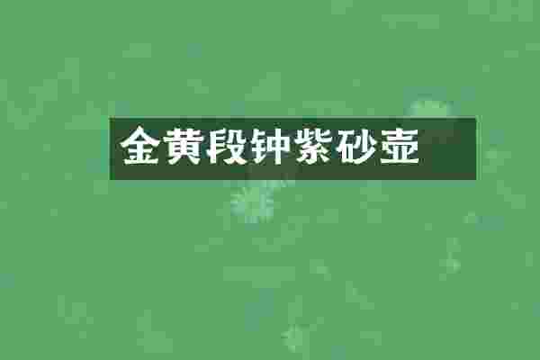 金黄段徳钟紫砂壶