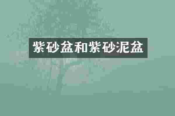 紫砂盆和紫砂泥盆