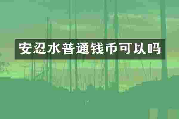 安忍水普通钱币可以吗