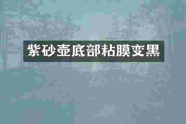 紫砂壶底部粘膜变黑