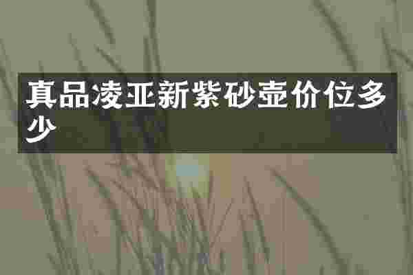真品凌亚新紫砂壶价位多少