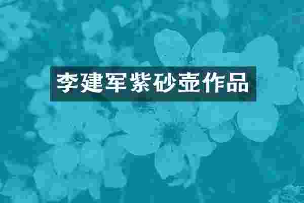 李建军紫砂壶作品