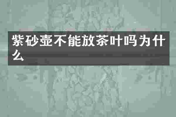 紫砂壶不能放茶叶吗为什么