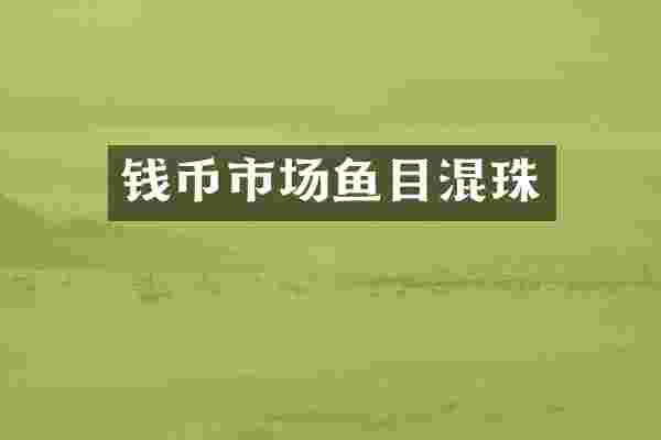 钱币市场鱼目混珠