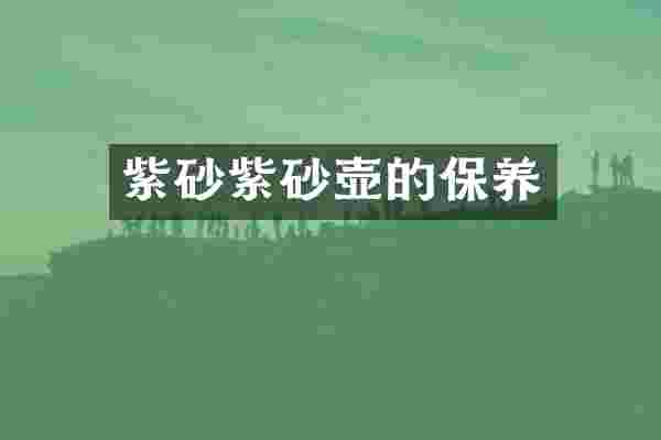 紫砂紫砂壶的保养