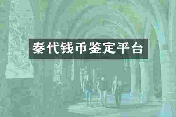 秦代钱币鉴定平台