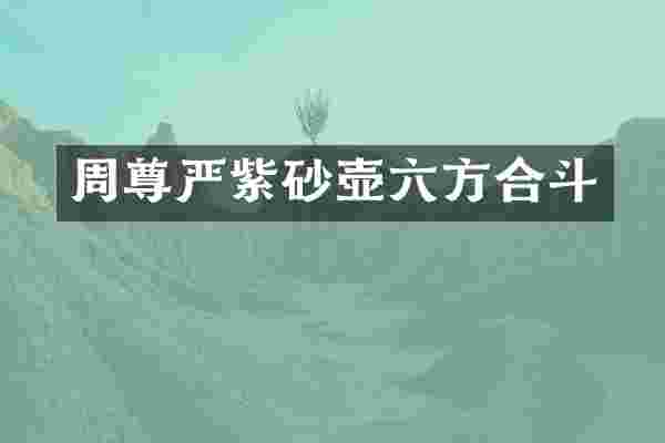 周尊严紫砂壶六方合斗