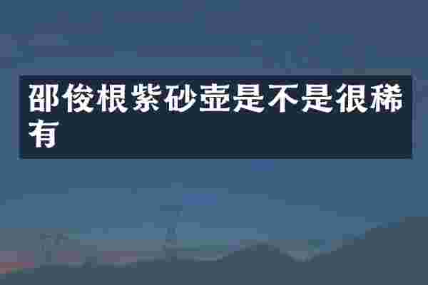 邵俊根紫砂壶是不是很稀有