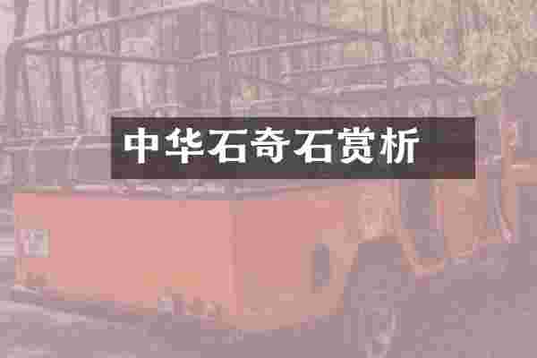 中华龍石奇石赏析