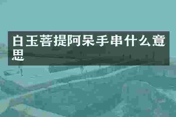 白玉菩提阿呆手串什么意思