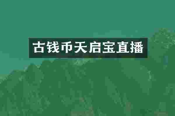 古钱币天启宝直播