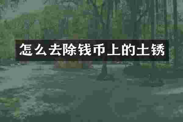 怎么去除钱币上的土锈