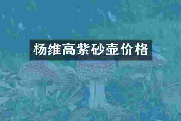 杨维高紫砂壶价格