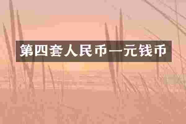 第四套人民币一元钱币