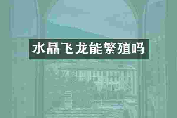 水晶飞龙能繁殖吗