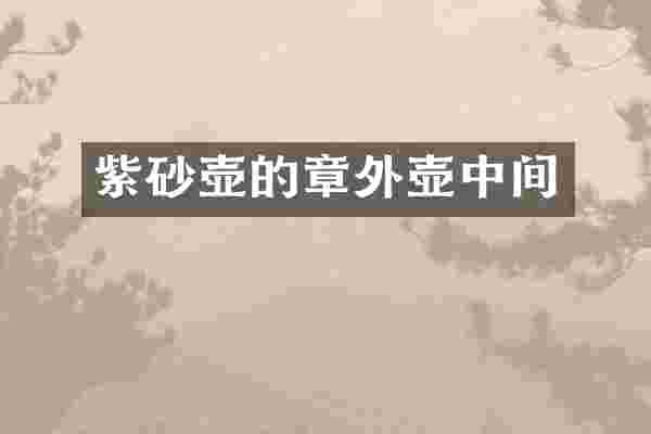 紫砂壶的章外壶中间