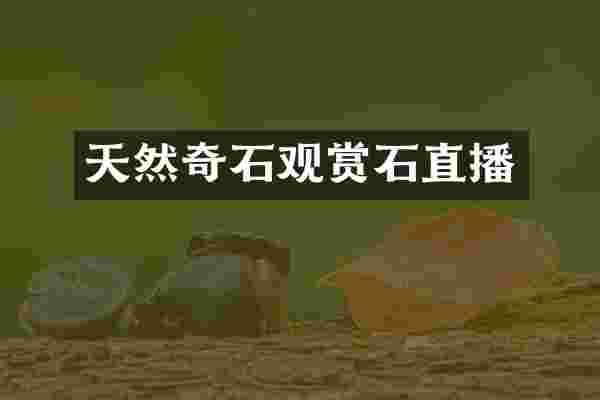 天然奇石观赏石直播