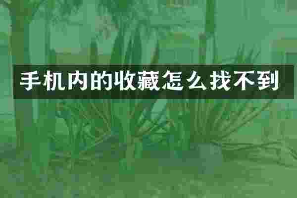 手机内的收藏怎么找不到