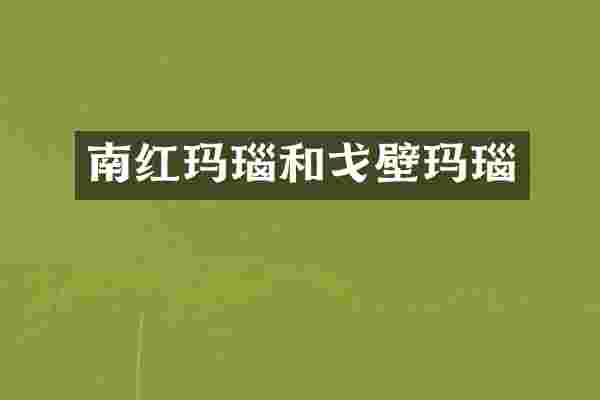 南红玛瑙和戈壁玛瑙