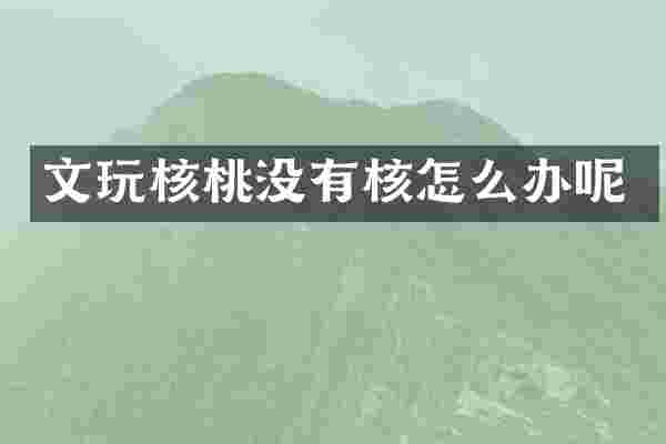 文玩核桃没有核怎么办呢