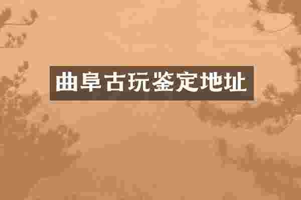 曲阜古玩鉴定地址