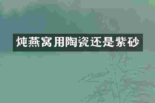 炖燕窝用陶瓷还是紫砂