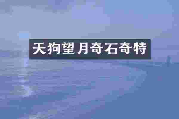 天狗望月奇石奇特