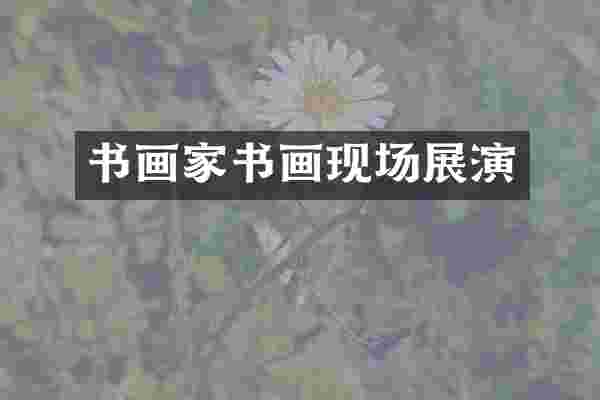 书画家书画现场展演