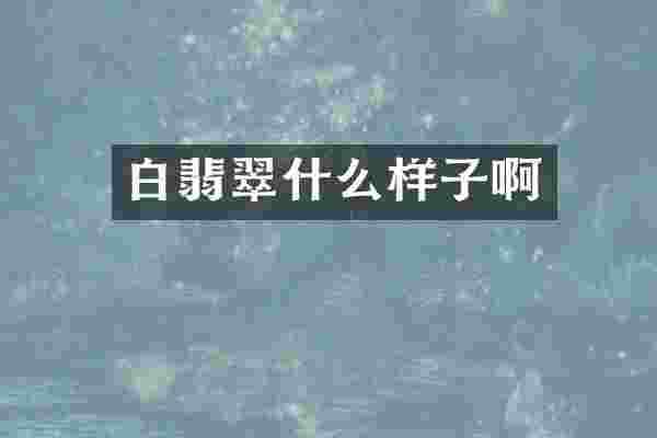 白翡翠什么样子啊