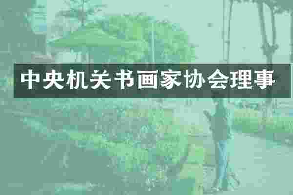 中央机关书画家协会理事
