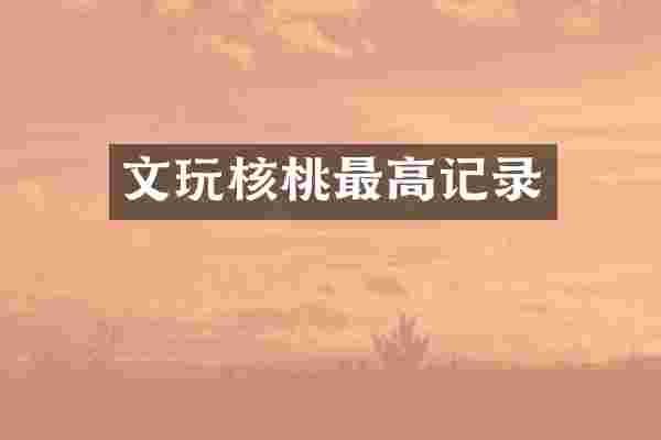 文玩核桃最高记录