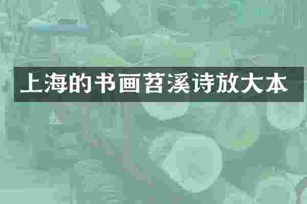 上海的书画苕溪诗放大本