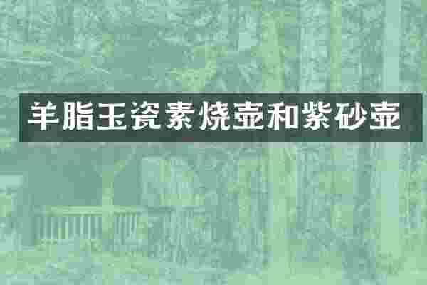 羊脂玉瓷素烧壶和紫砂壶