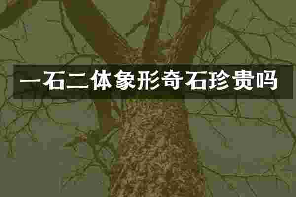 一石二体象形奇石珍贵吗
