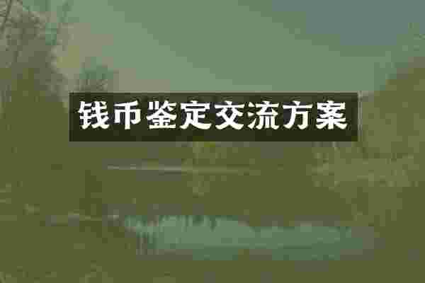 钱币鉴定交流方案