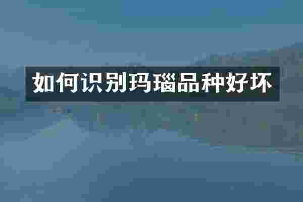 如何识别玛瑙品种好坏