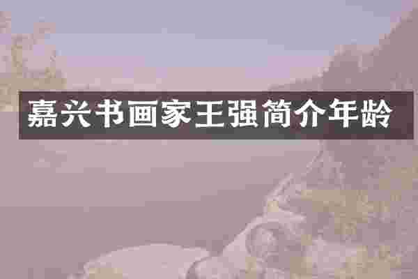 嘉兴书画家王强简介年龄
