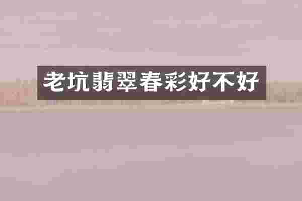 老坑翡翠春彩好不好