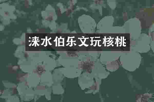 涞水伯乐文玩核桃