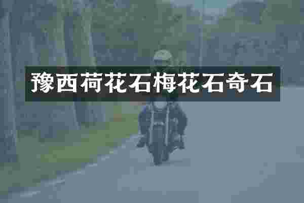 豫西荷花石梅花石奇石